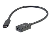 C2G 1ft USB-C to C 3.1 (Gen 1) Male to Female Extension Cable (5Gbps) - USB-forlengelseskabel - USB-C (hann) til USB-C (hunn) - USB 3.1 Gen 1 / Thunderbolt 3 - 3 A - 30 cm - formstøpt - svart 88655