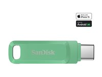 SanDisk Ultra Dual Drive Go - USB-flashstasjon - 1 TB - USB 3.1 Gen 1 / USB-C - absintgrønn SDDDC3-1T00-G46AG