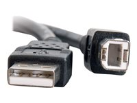 C2G 9.8ft USB A to USB B Cable - USB A to B Cable - USB 2.0 - Black - M/M - USB-kabel - USB (hann) til USB-type B (hann) - USB 2.0 - 3 m - svart 28103