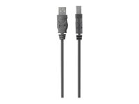 Belkin Premium Printer Cable - USB-kabel - USB-type B (hann) til USB (hann) - USB 2.0 - 3 m - formstøpt F3U154BT3M