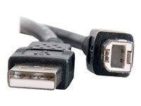 C2G 3.3ft USB A to USB B Cable - USB A to B Cable - USB 2.0 - Black - M/M - USB-kabel - USB (hann) til USB-type B (hann) - USB 2.0 - 1 m - svart 28101